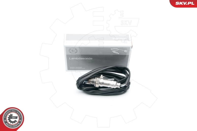 Oxygen Sensor